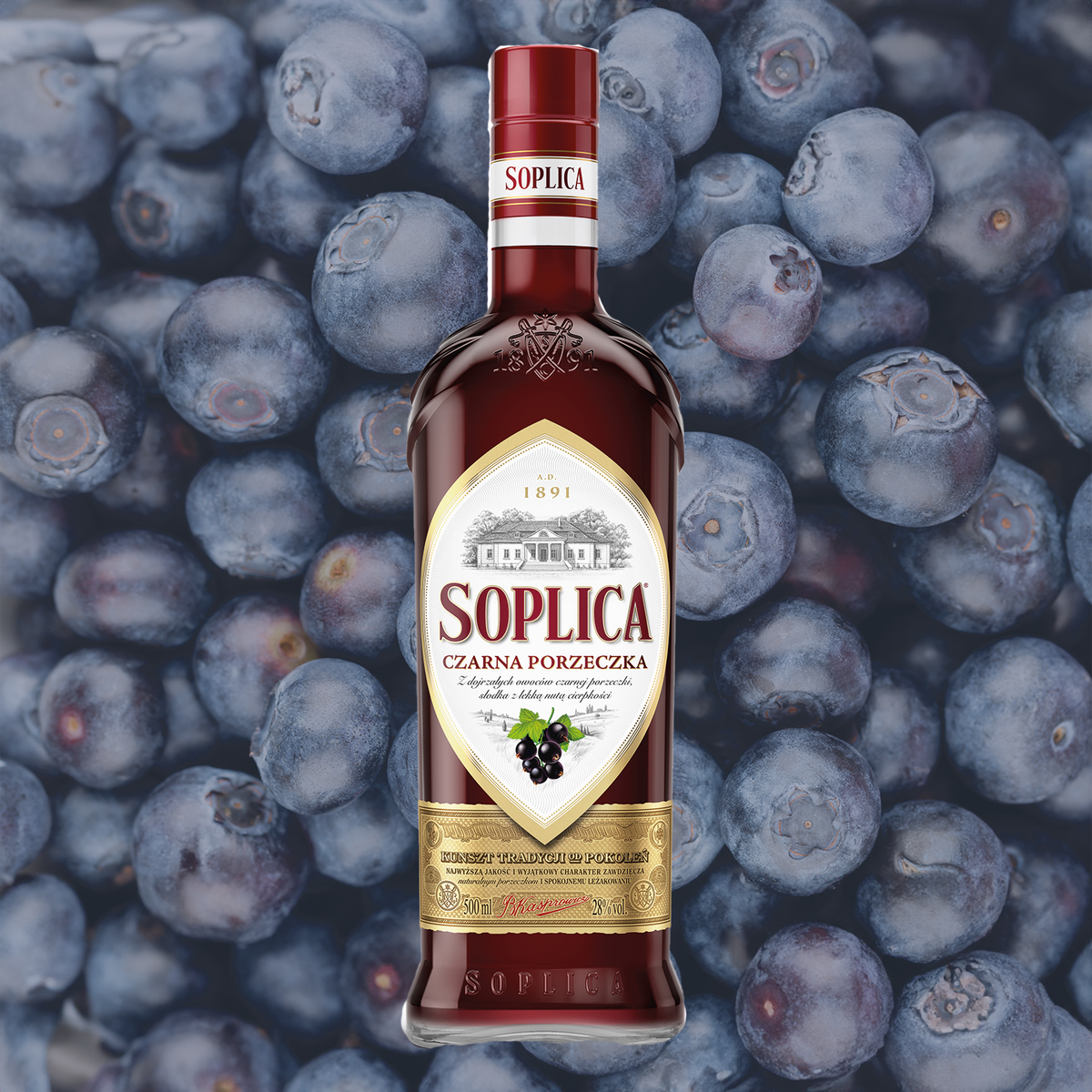 Choco Cherry Fizz: Ein Erfrischender Schoko-Kirsch-Longdrink – Soplica